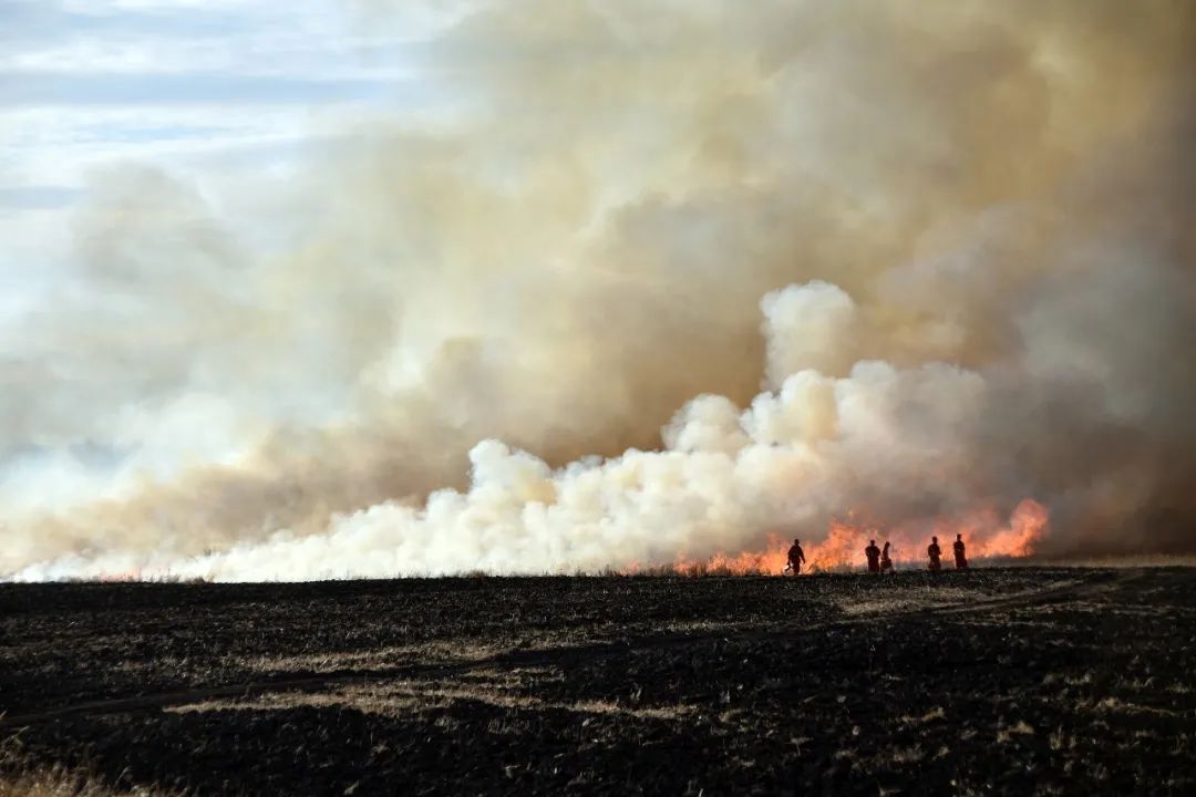 森林消防员应该怎么考,云南森林消防员训练