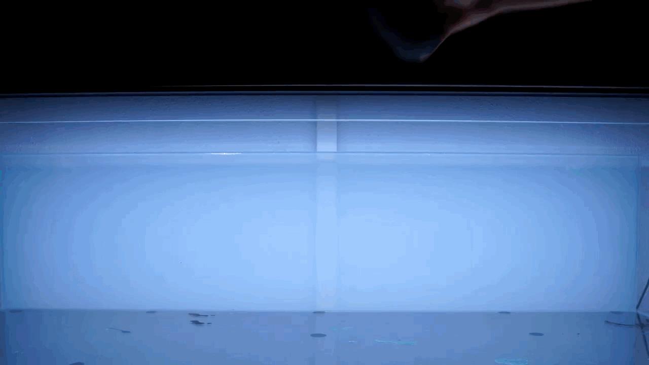 水草小缸养什么鱼最好,适合小型裸缸养的鱼