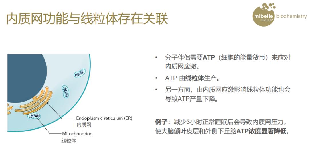 最贵的一瓶护肤品,很昂贵的护肤品