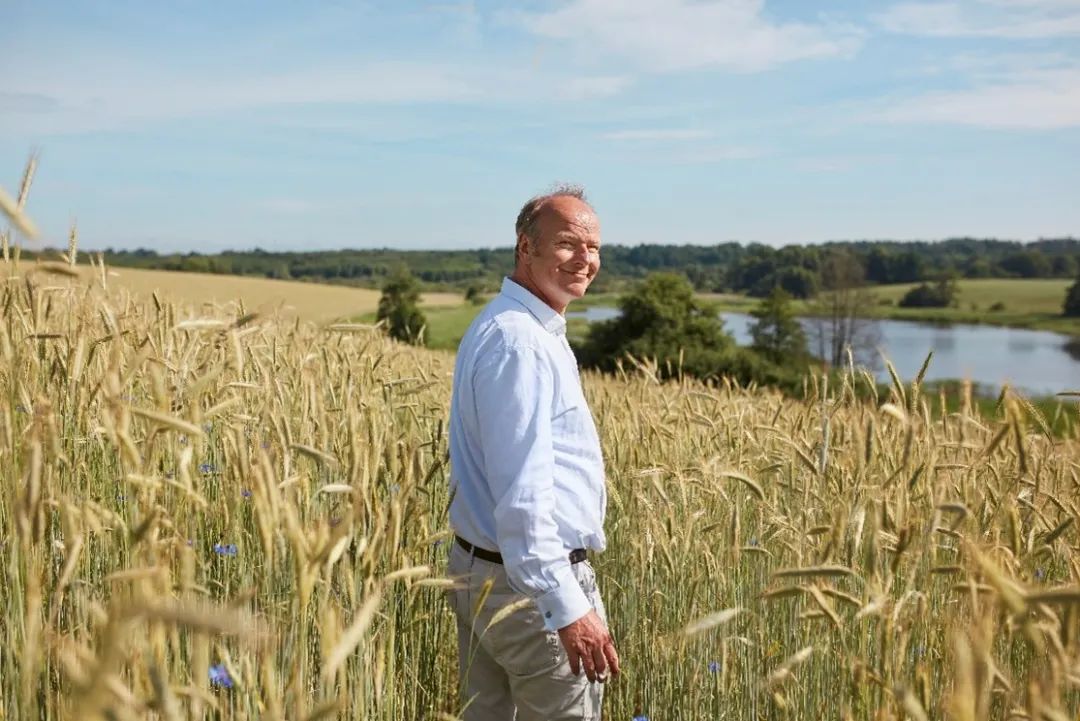 德国喜宝hipp有机益生菌配方奶,德国喜宝hipp价格