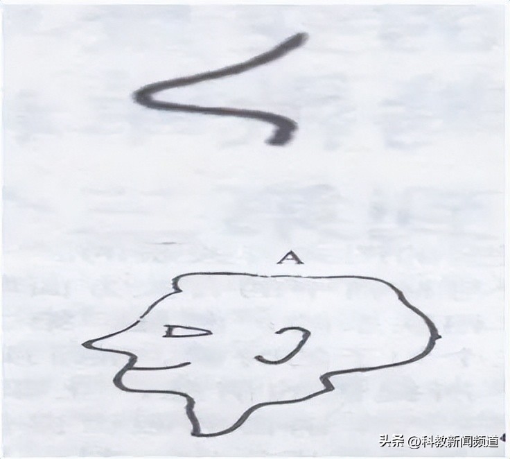 什么叫大单元教学模式讲座,习作单元课文教学怎么教