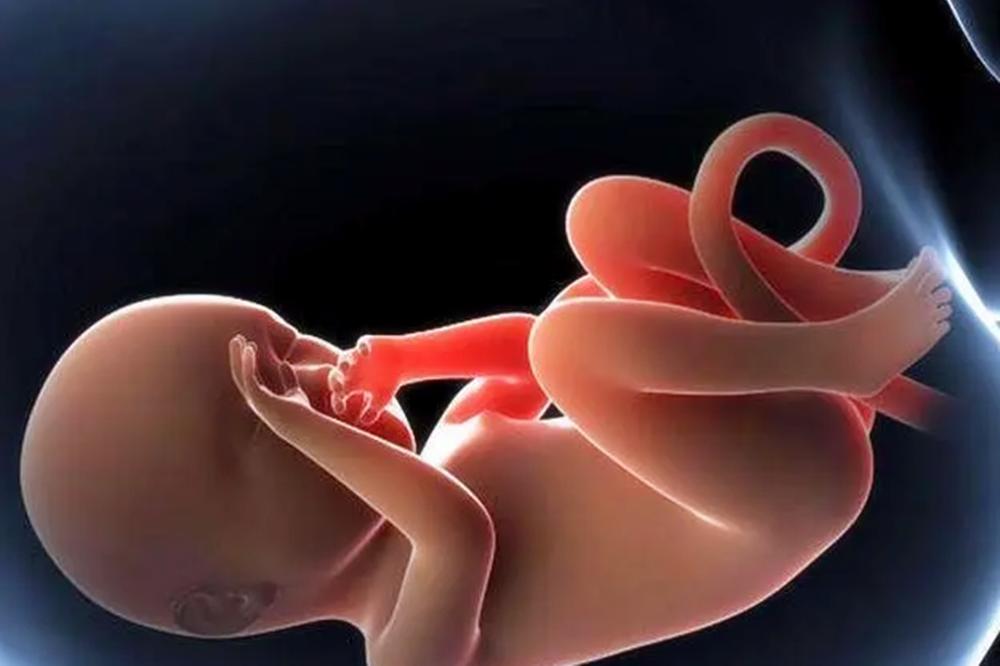 孕晚期宝宝头大一直撑着肚皮,孕晚期宝宝头腹都偏小