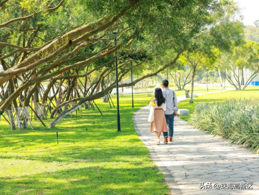 走一起看日出吧歌词,走一起去看日出吧舞蹈