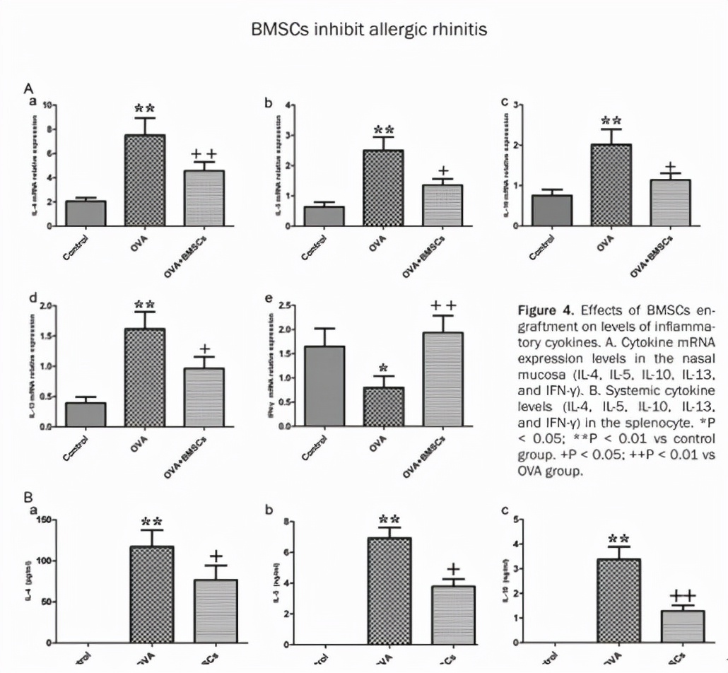 干细胞治疗鼻炎什么时候推广,干细胞治疗过敏性鼻炎多少钱