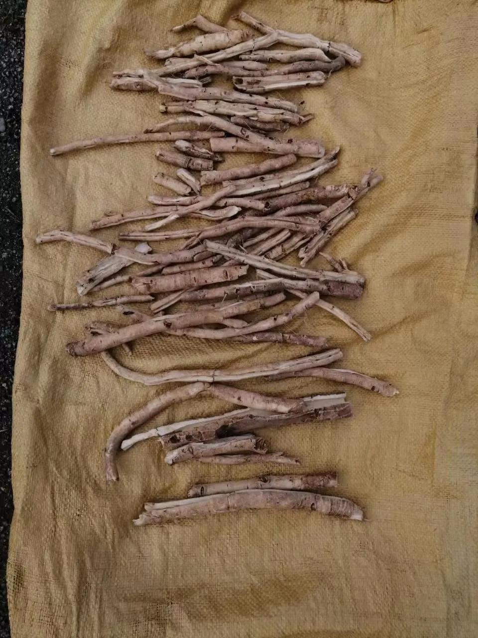 中国进口俄罗斯中药材,俄罗斯出口中国农产品