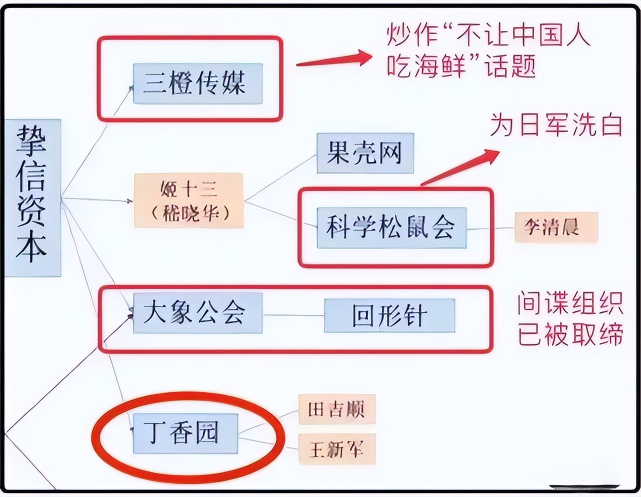 丁香园被处理,丁香园官网可靠吗