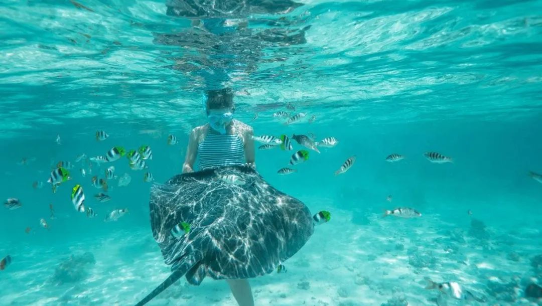 这对年轻夫妻放弃高薪，旅行2年花光存款，潇洒8年后向全网凡尔赛