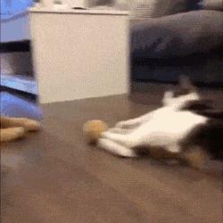 100个难得一见照片,难得一见12张照片