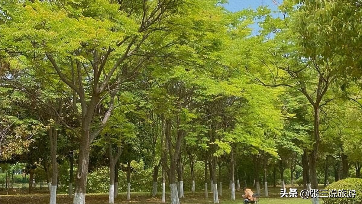 最新江苏县人口排名,江苏50万以上人口的县级市排名