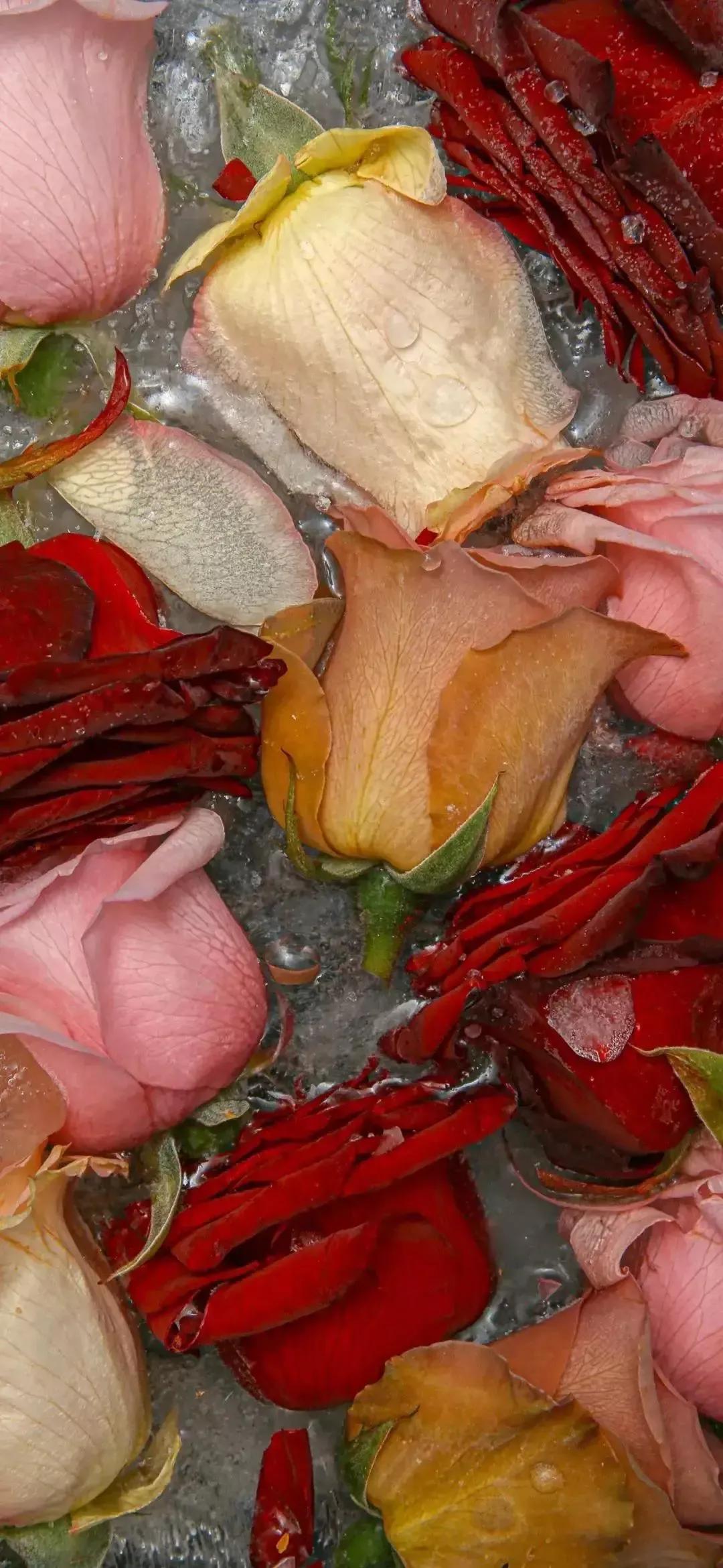 高清壁纸图片全屏干净高级,男士专用黑色美女全屏壁纸