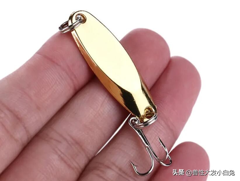 路亚鱼饵的介绍,路亚饵的全方面介绍