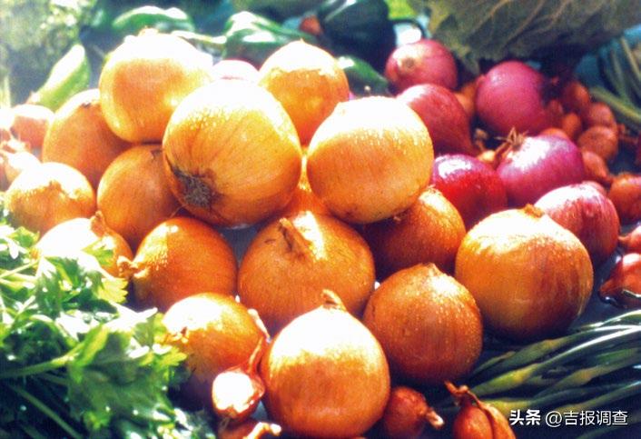 ​寓教于光影，启智又好看的长影经典科教片