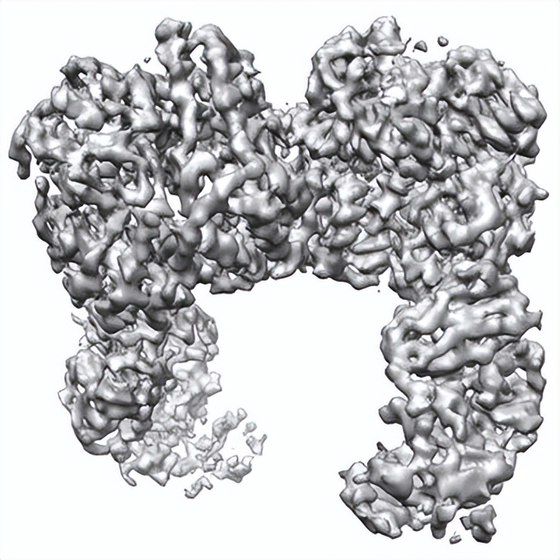 健身增肌好处的简介,锻炼和健身增肌的原理