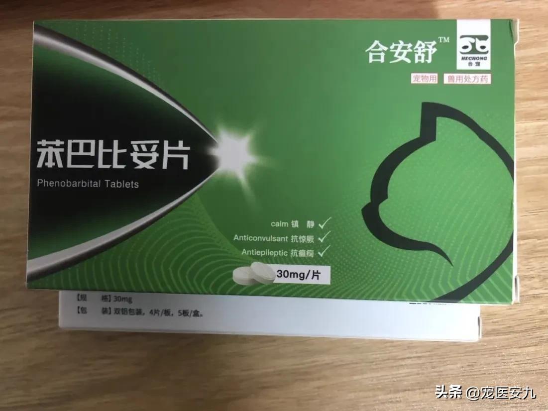 狗狗低血糖引起的癫痫怎么解决,狗狗得了癫痫要注意什么
