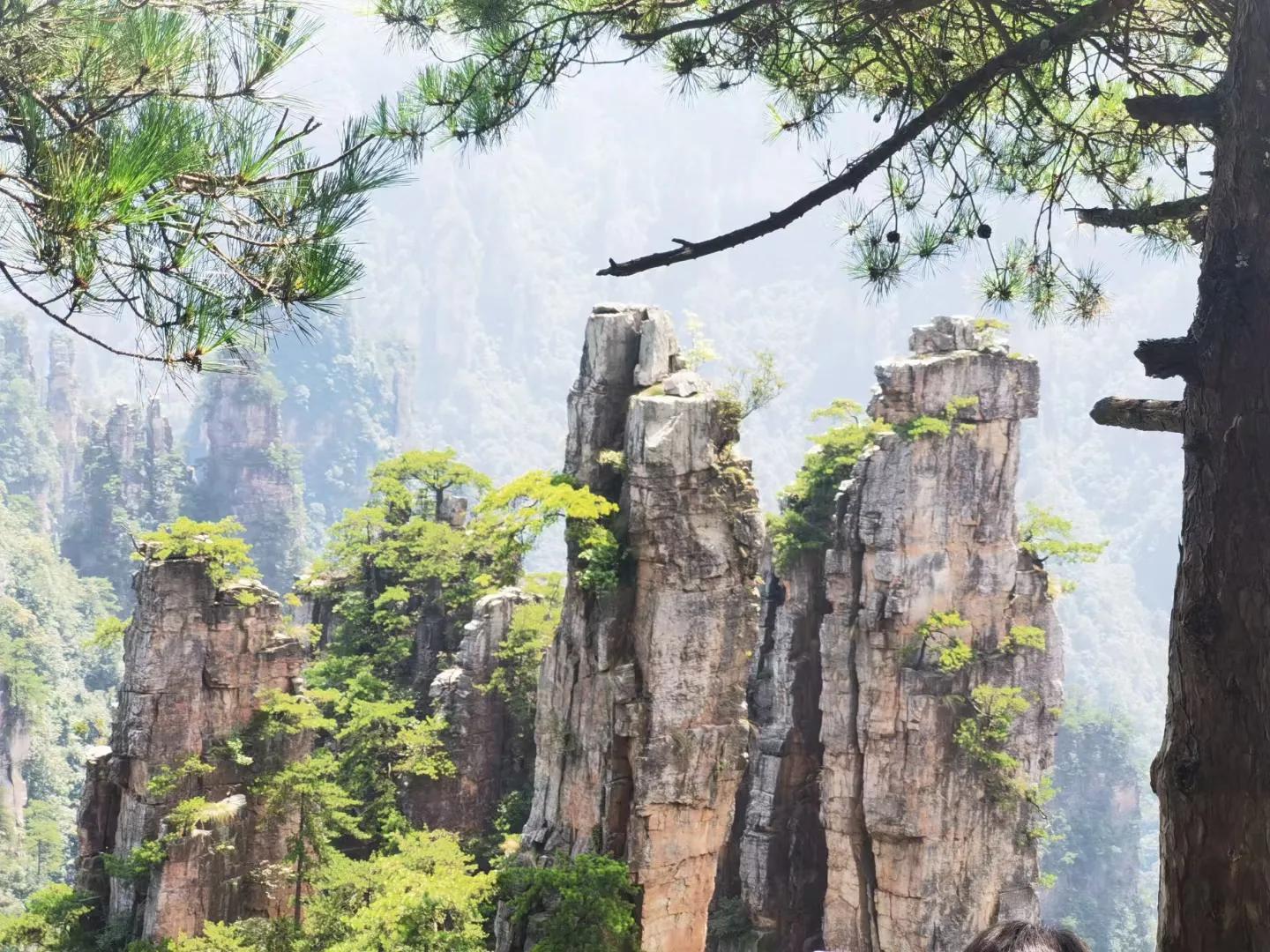 深情的眷恋你,深情的眷恋歌曲完整版