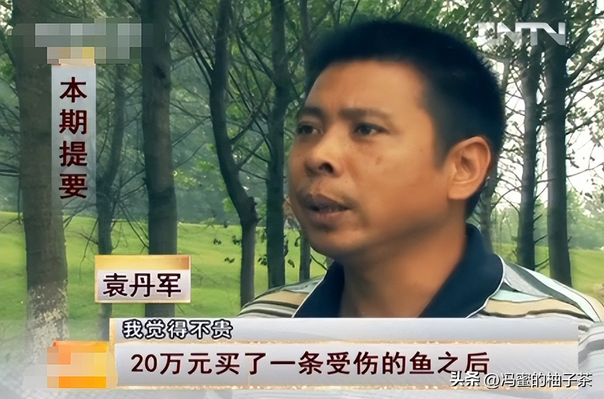 男子花13万买的鱼因停电缺氧死亡,男子花20万买一条受伤鲶鱼后续