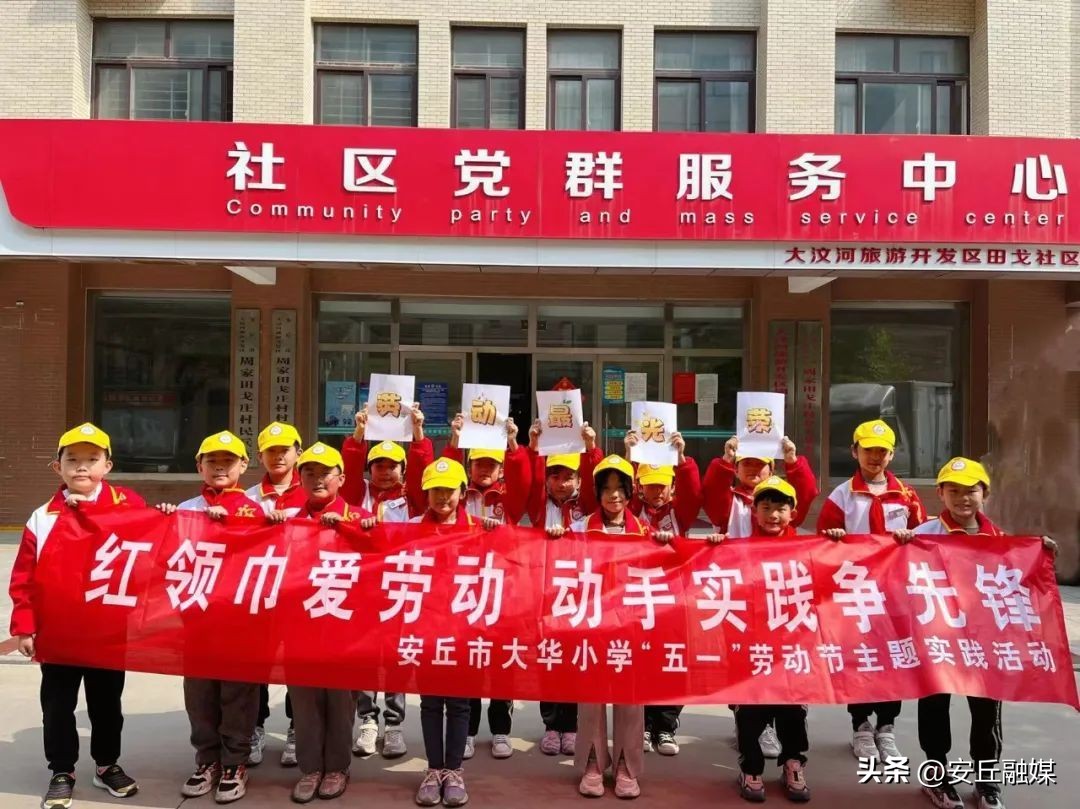 五一劳动节劳动最光荣小学一年级,小学五一劳动节社区劳动实践