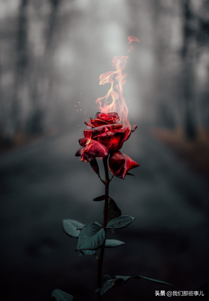 异性之间的喜欢是什么意思,异性之间喜欢和爱的区别