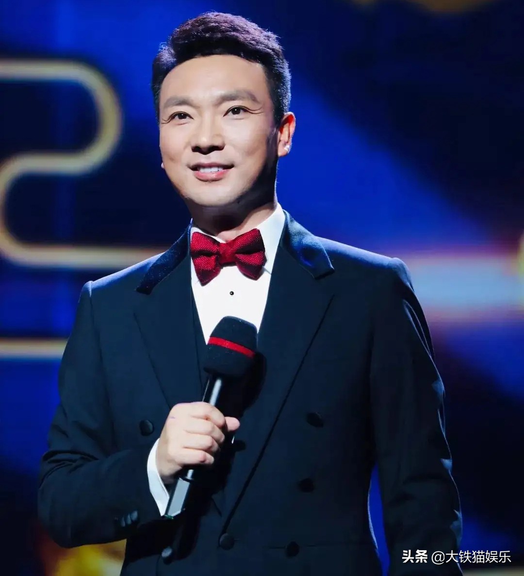 河北籍央视主持人,河北盛产主持人15位央视名嘴