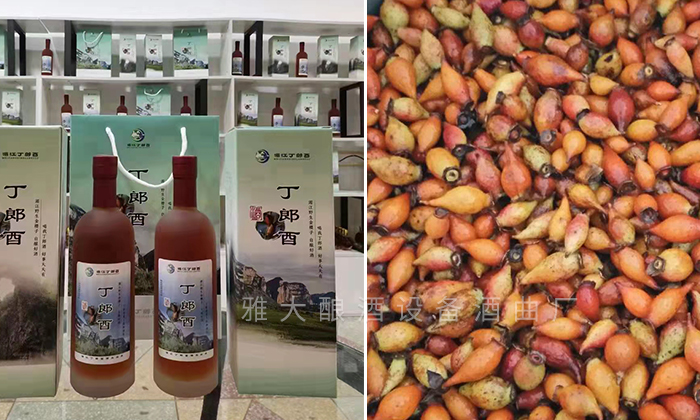 酿酒技术金樱子酒的制作方法,制作金樱子酿酒设备