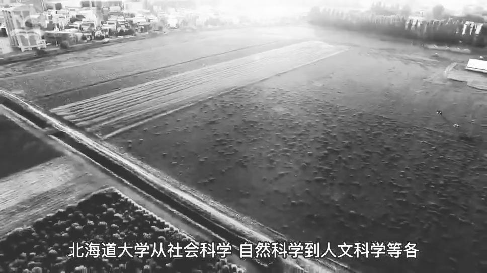 超级国际化大学计划,日本北海道大学全球排名