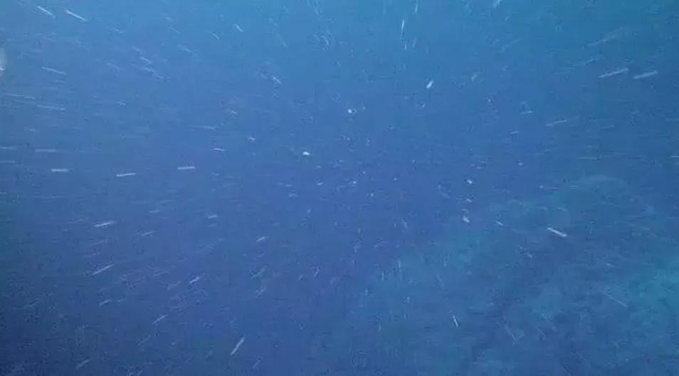 世界上大海的奇怪现象,现实中的大海奇观