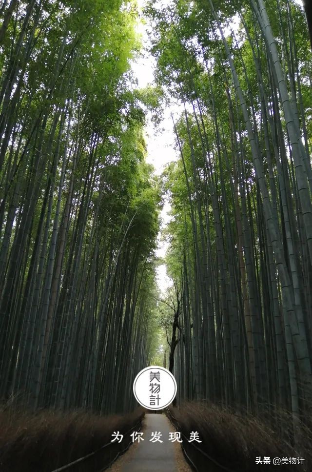 最空灵十首诗,禅意最深的一首诗