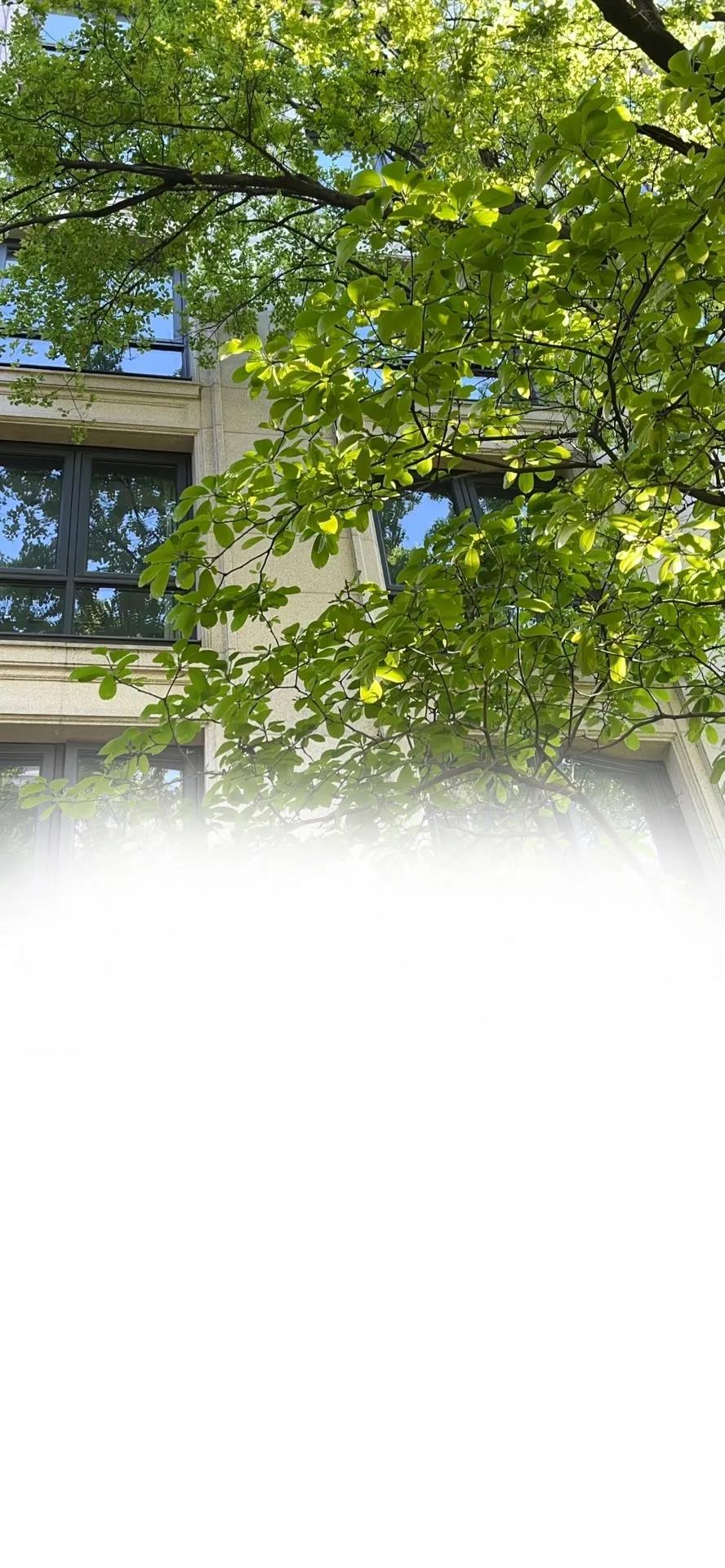 渐变聊天背景,渐变色聊天背景图教程