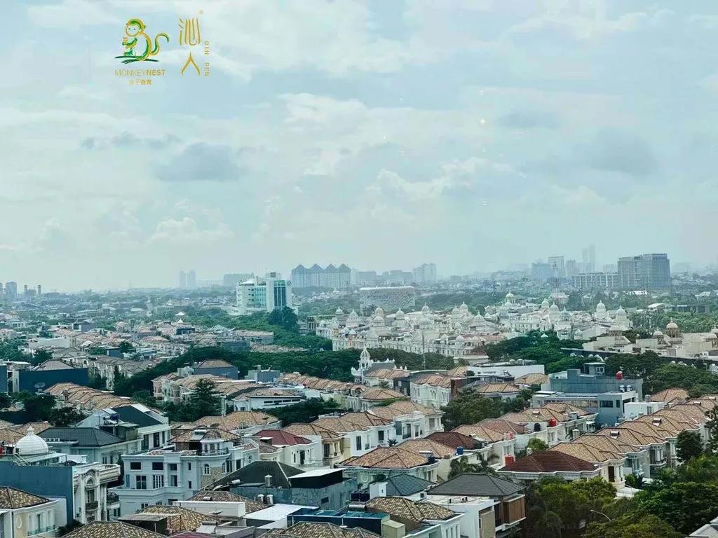 印尼燕窝与马来西亚燕窝的区别是什么呢?,猴子燕窝.沁人品牌