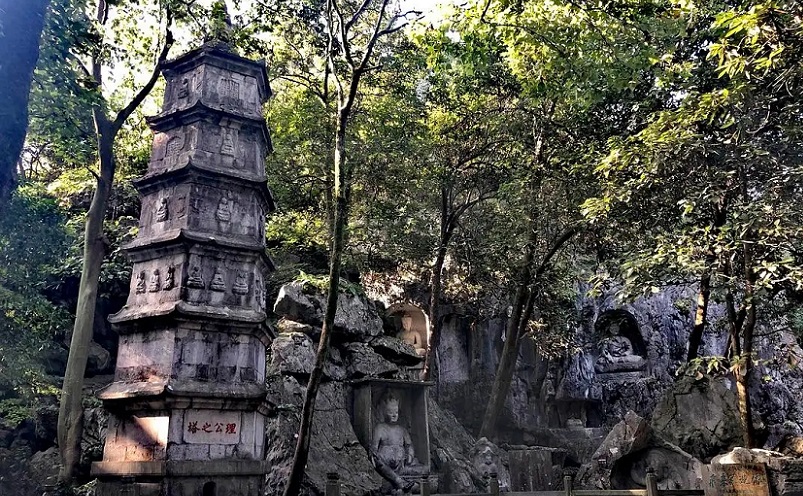 杭州旅游必去十大景点推荐一下,杭州看花好去处杭州网红景点
