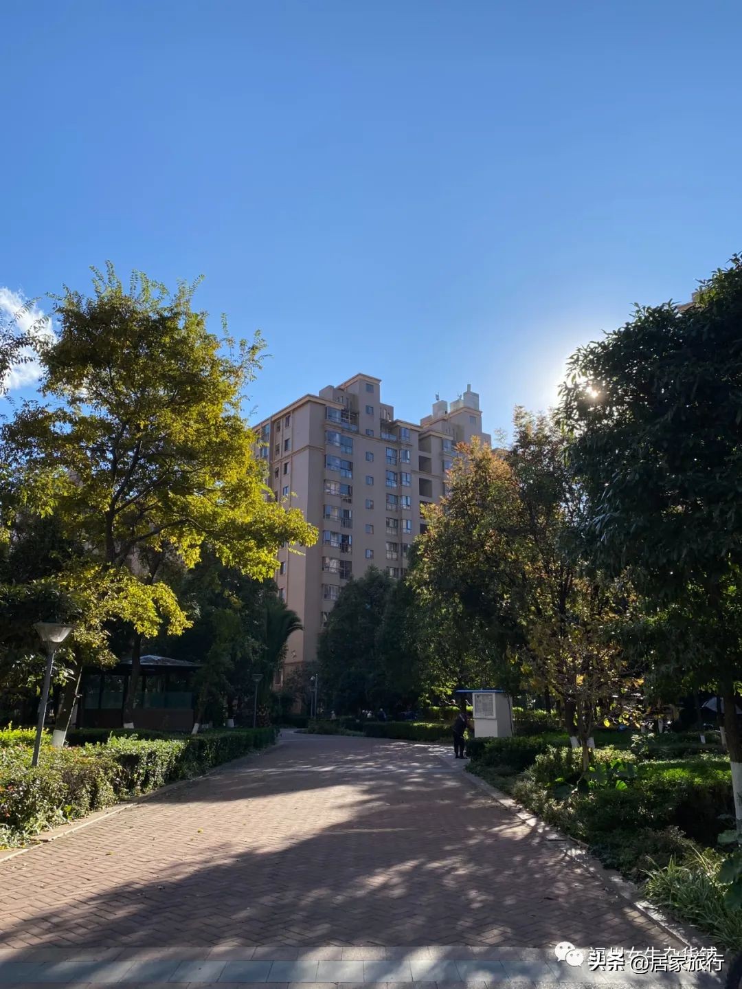 11/17,初冬的星期四