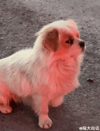 第一次和男票接吻,和男朋友接吻高甜时刻