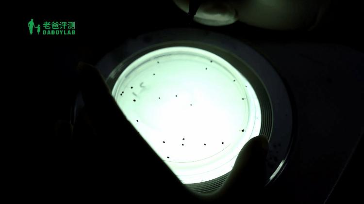 猫砂甲醛排行,纯福猫砂甲醛超标