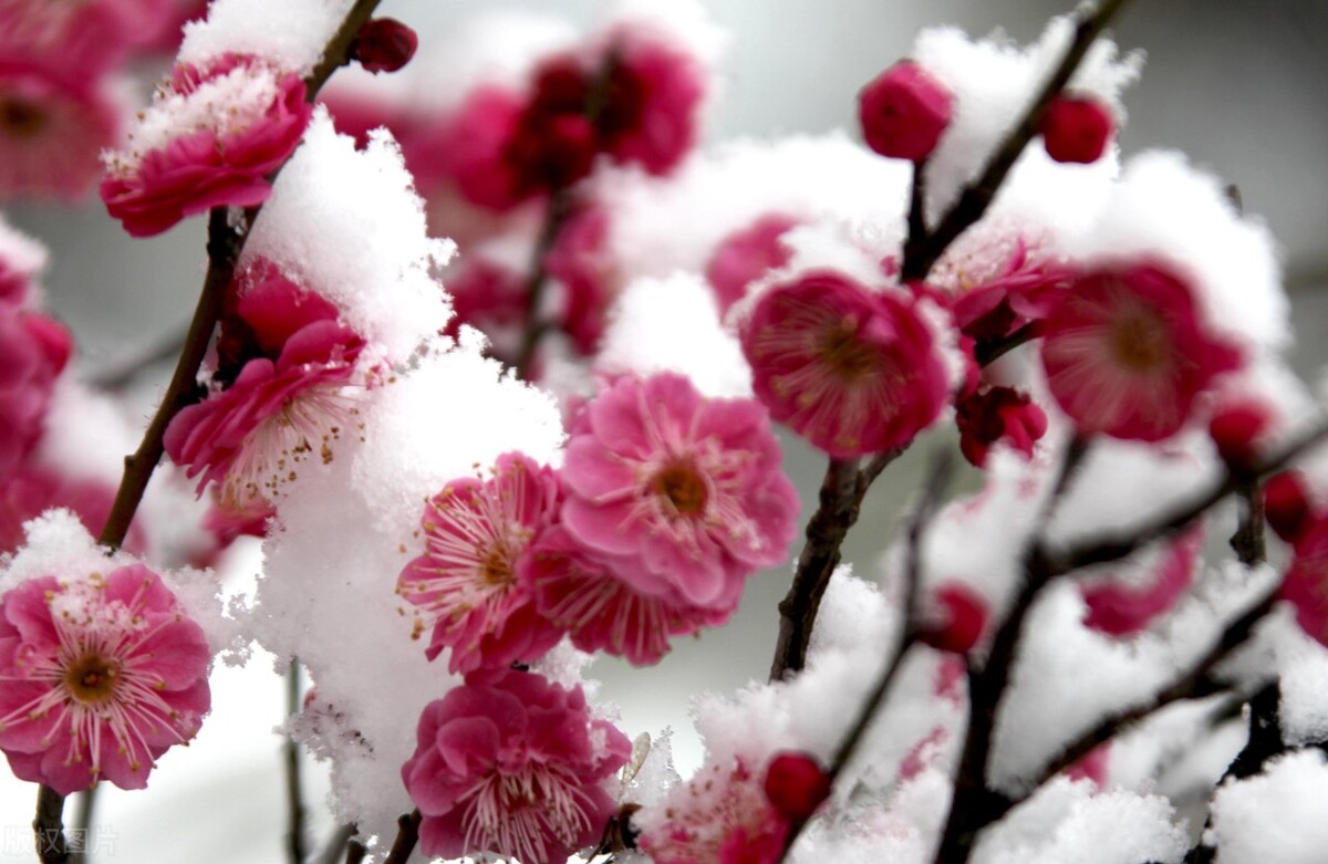 人间正道是沧桑上一句是什么,人间正道是沧桑连续剧孙红雷主演