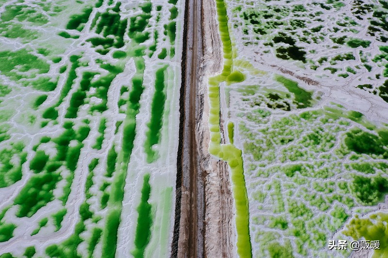 青海｜热爱西风和烈酒，也爱孤独和自由