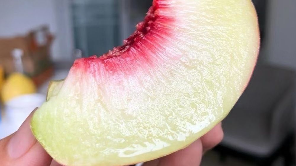 现在大型水果店的前景如何,水果店的前景与优势