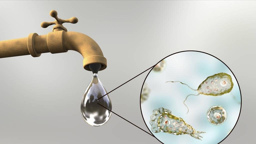 “甲硝唑”便宜又好用，能治什么病？这3种病可适用