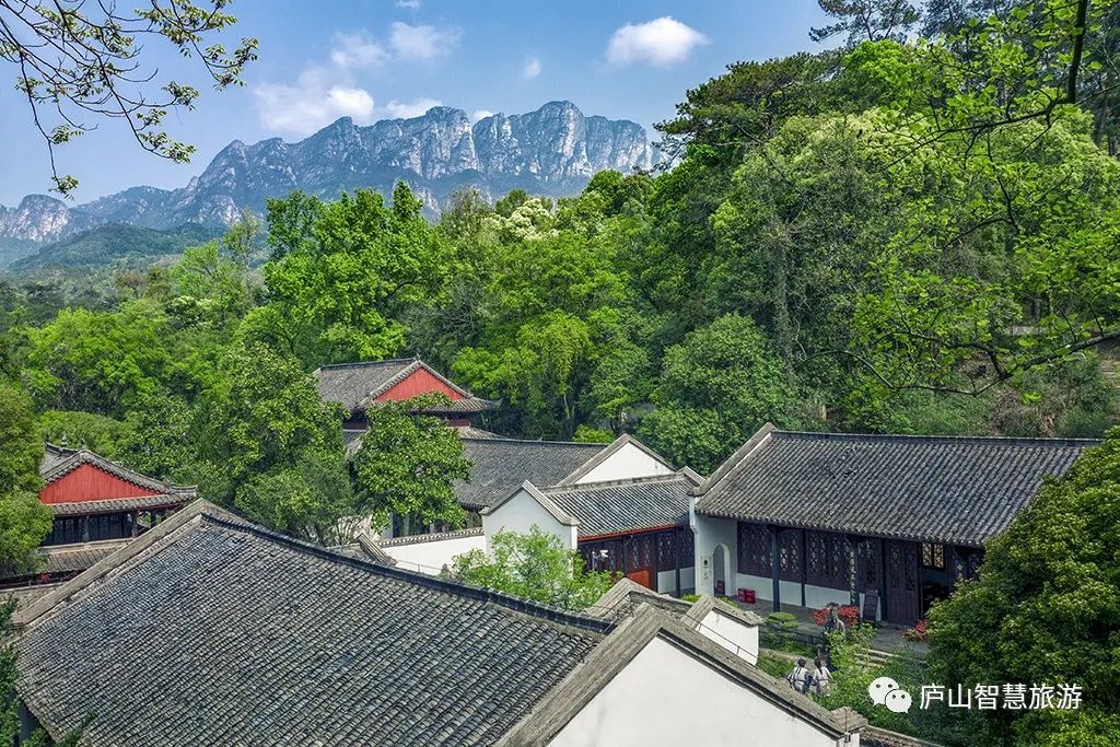 这个七月,这个七月朗读视频