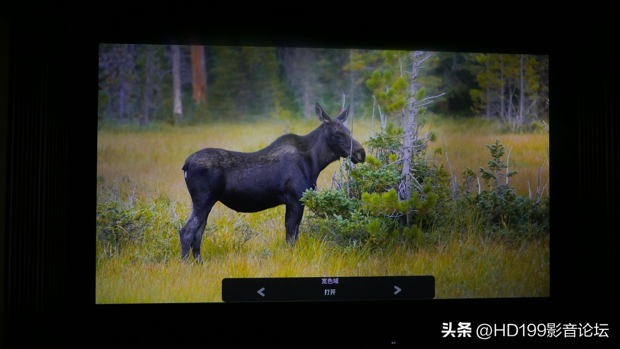 明基ht4550和W4000,明基ht4550对比tw700