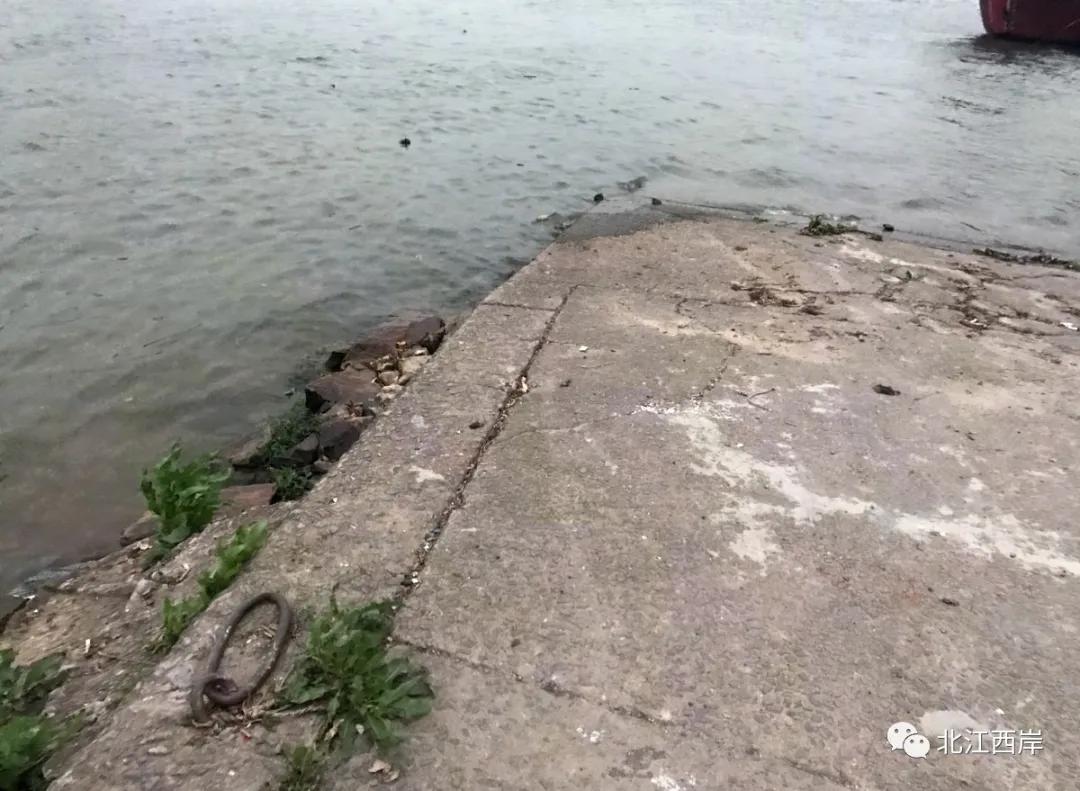 漫长回家路小说,漫长回家路摇滚完整版