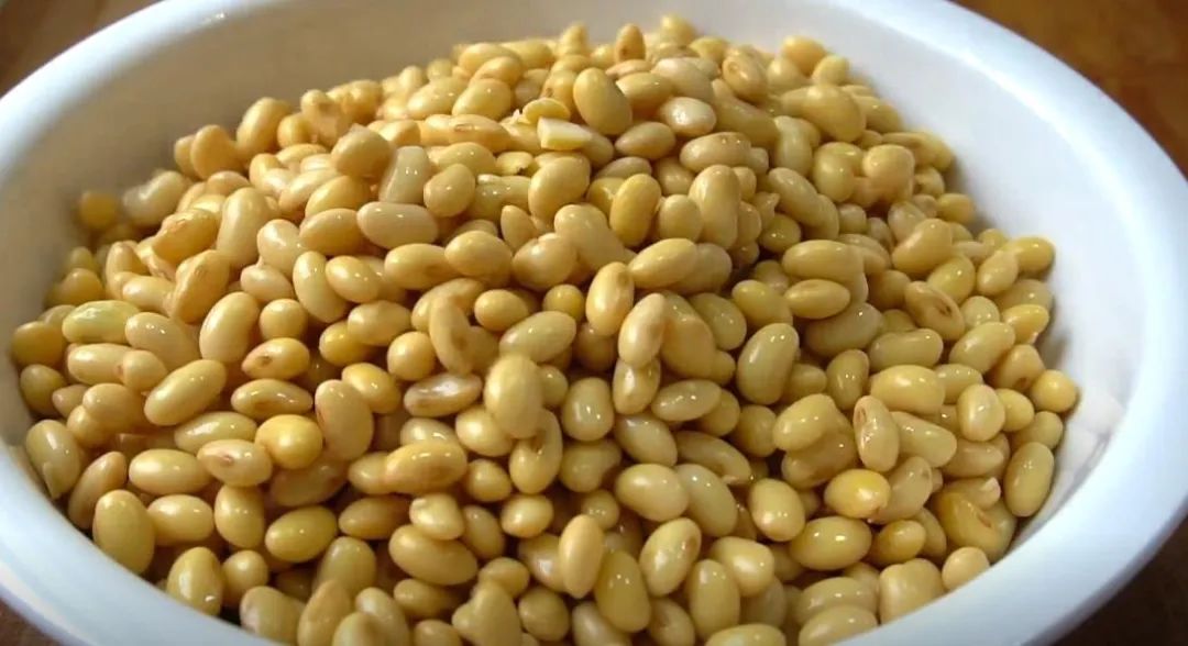 “冬吃3豆，医生搬走”，中老年一周吃2次，提高免疫，身体强健