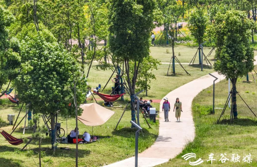 阳光露营地,3月份适合露营地推荐