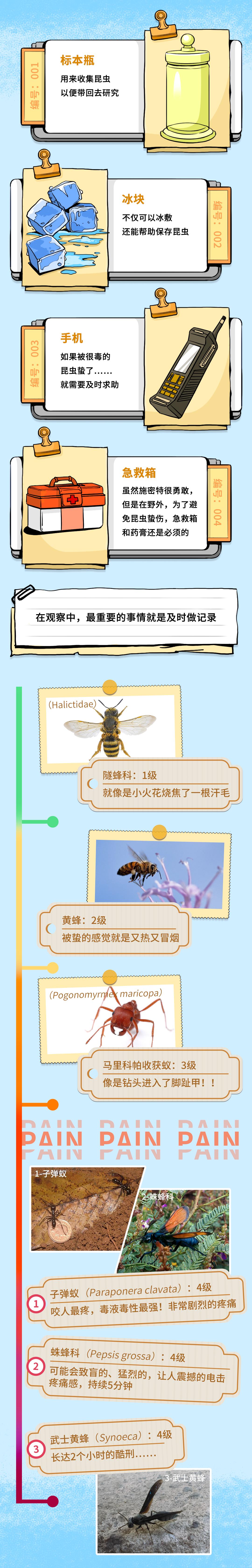 被哪种虫子咬了有个小孔,被什么昆虫咬了刺痛