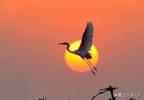 六字古诗词人生感悟,最励志的20首诗词