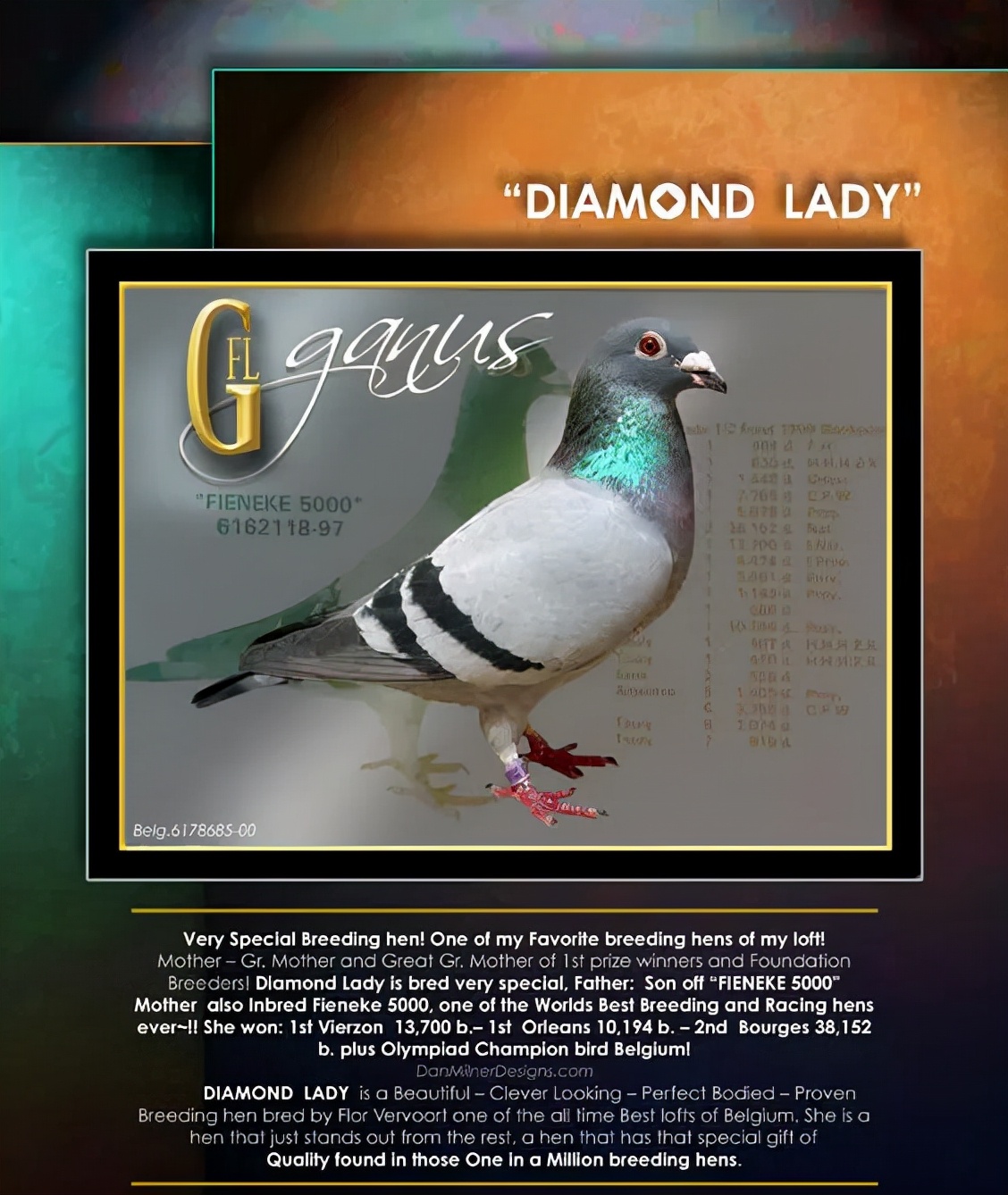 芬妮卡5000家族的奥秘