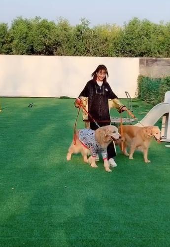 最有钱女明星刘亦菲,刘亦菲秀名贵翡翠大耳环