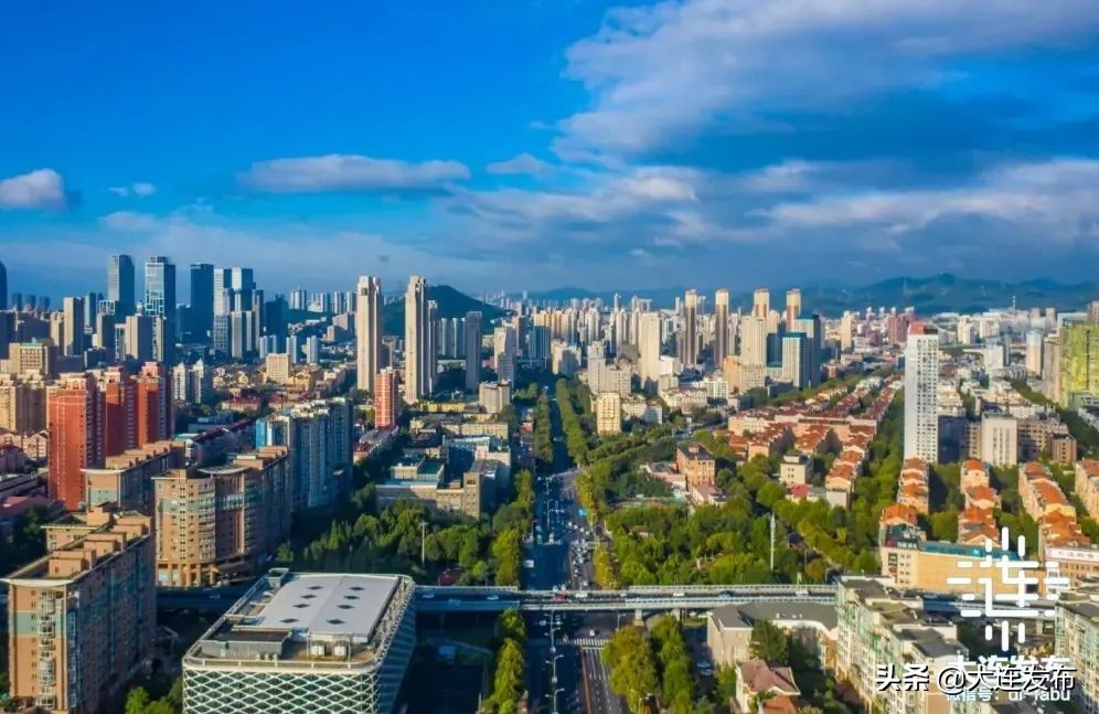 大连市小巨人,大连国家小巨人企业