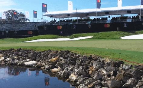 致敬高球国王!拉姆，麦克罗伊决胜湾丘！德尚博因伤退赛