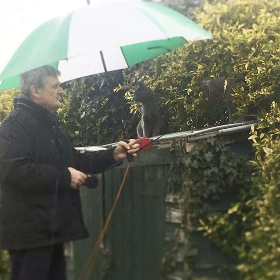 我家猫尿进了洗衣篓里，我爸为了包庇猫说，是他尿的···