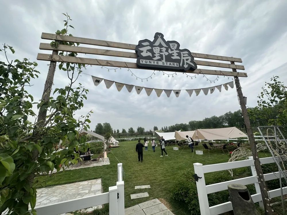 假日模式开启,假日模式怎么玩儿